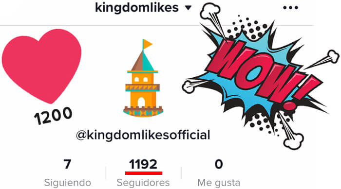 KingdomLikesTiktokFollowers